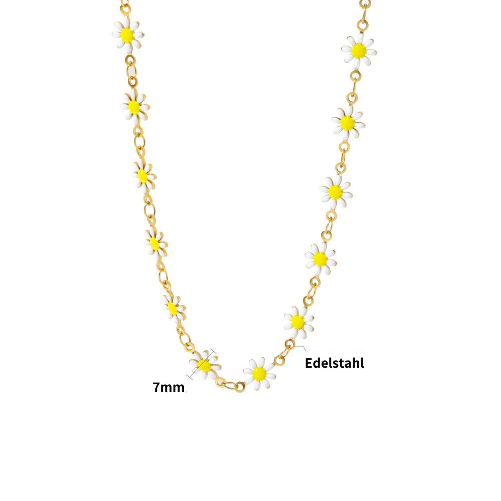 Gänseblumen Choker